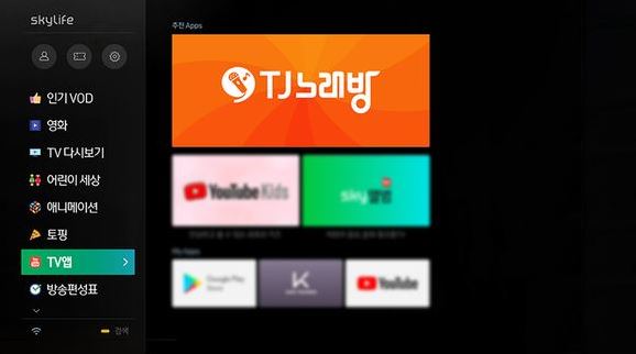 KT 스카이라이프에 TJ노래방과 SKY앨범이 출시됨